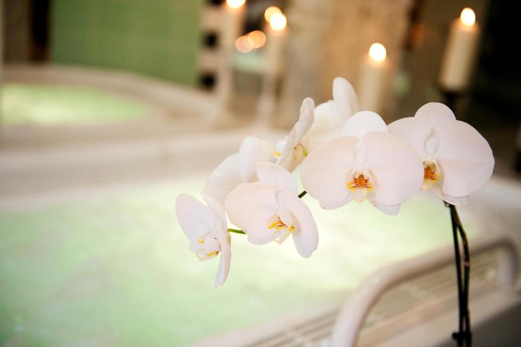 Ringhotel Vitalhotel Ambiente バート・ヴィルスナック エクステリア 写真
